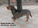 Bonitace Heroutice 2015_2