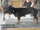 Bonitace Heroutice 2015_7