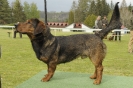 Kacov19