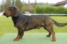 Kacov19