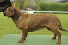 Kacov19