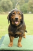 Bonitace Lázně Leopoldov 1.9.2018_5