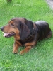2005_Mik