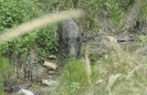foto_3