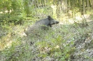 foto_3