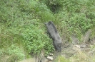 foto_5