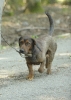 foto_9