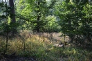 foto_26