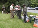 foto_6