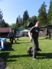 foto_16