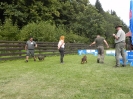 foto_26