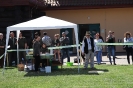 Bohdanec2018