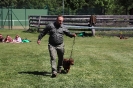 Bohdanec2018
