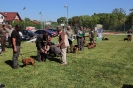 Bohdanec2018