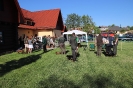 Bohdanec2018