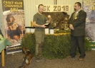 Korinek2018