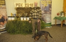 Korinek2018