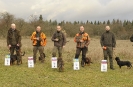 Korinek2018
