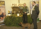 Korinek2018