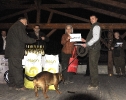 Pohar Gustava Korinka 16.11 - 18.11.2019 Slovensko_61
