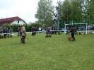 Kácov 2019