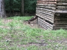 Jezvinec