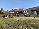Korinek2022