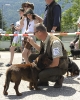 Mariazell