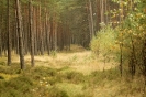 10_16_Przechlewo