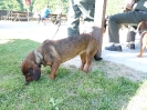 11_04_Zivohost2011