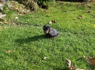 Blinka