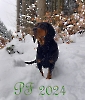 pf2024