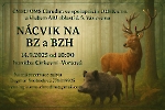 Vortova